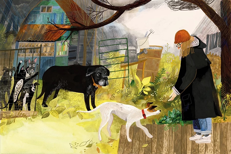 Инструменты иллюстрации