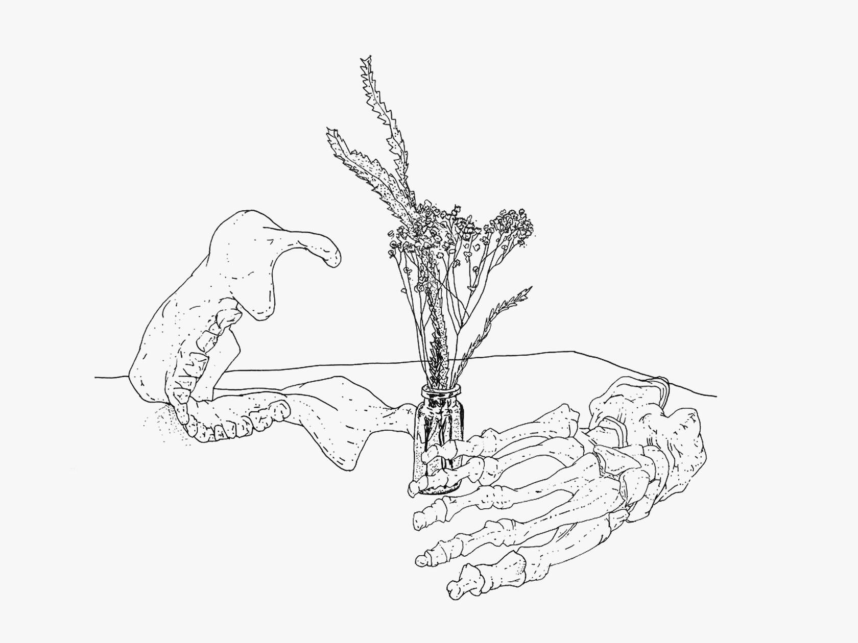 afsdf sfds fsdfdsf sd